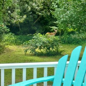 Photo #22 of 3618 WILLOW ST, CHINCOTEAGUE, VA 0.1 acres