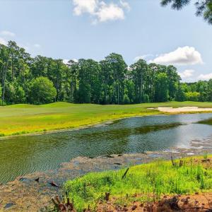 Photo #38 of 192 OLD COURSE LOOP, CAPE CHARLES, VA 0.2 acres