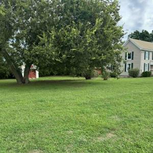Photo #22 of 9107 BIRDSNEST DR, BIRDSNEST, VA 0.6 acres