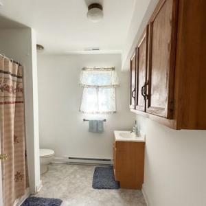 Photo #8 of 9107 BIRDSNEST DR, BIRDSNEST, VA 0.6 acres