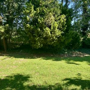 Photo #9 of 9115 BIRDSNEST DR, BIRDSNEST, VA 0.2 acres