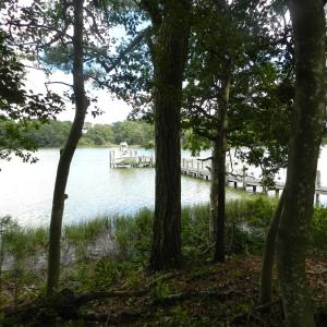 Photo #16 of 11147 HERMITAGE RD, CRADDOCKVILLE, VA 3.1 acres