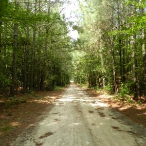 Photo #23 of 11147 HERMITAGE RD, CRADDOCKVILLE, VA 3.1 acres