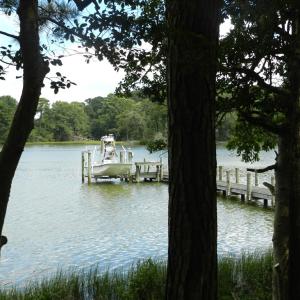 Photo #3 of 11147 HERMITAGE RD, CRADDOCKVILLE, VA 3.1 acres