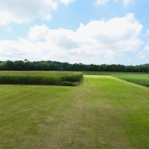 Photo #22 of 11147 HERMITAGE RD, CRADDOCKVILLE, VA 3.1 acres