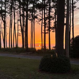 Photo #64 of 15124 RUSSELL DR, ONANCOCK, VA 0.6 acres