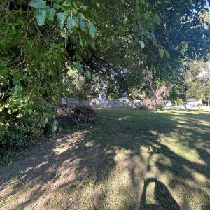 Photo #9 of 24159 CHADBOURNE ST, PARKSLEY, VA 0.3 acres