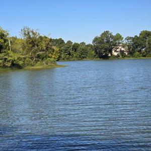 Photo #6 of 2238 CLEARVIEW RD, EXMORE, VA 1.5 acres