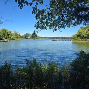 Photo #3 of 2238 CLEARVIEW RD, EXMORE, VA 1.5 acres