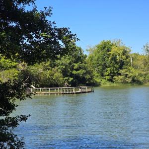 Photo #5 of 2238 CLEARVIEW RD, EXMORE, VA 1.5 acres