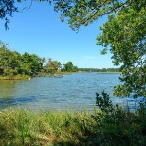 Photo #86 of 2238 CLEARVIEW RD, EXMORE, VA 1.5 acres