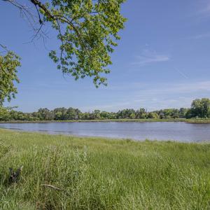 Photo #40 of 19220 MINK FARM RD, ONANCOCK, VA 6.2 acres