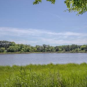 Photo #41 of 19220 MINK FARM RD, ONANCOCK, VA 6.2 acres