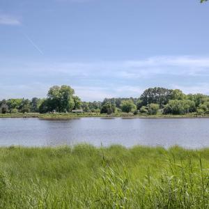 Photo #39 of 19220 MINK FARM RD, ONANCOCK, VA 6.2 acres