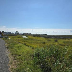 Photo #23 of 15327 MAIN RIDGE RD, TANGIER, VA 0.3 acres