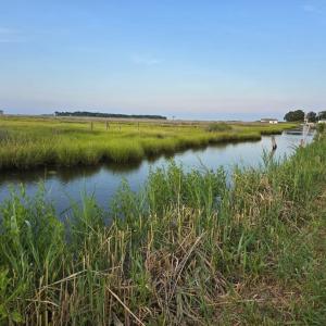 Photo #4 of 15327 MAIN RIDGE RD, TANGIER, VA 0.3 acres