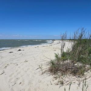 Photo #3 of 16674 HOG ISLAND LANE, TANGIER, VA 0.3 acres