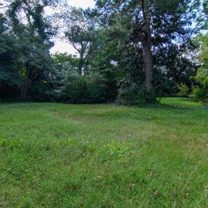 Photo #50 of 84 MARKET ST, ONANCOCK, VA 1.8 acres