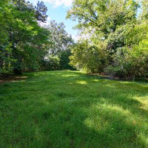 Photo #51 of 84 MARKET ST, ONANCOCK, VA 1.8 acres