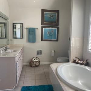 Photo #19 of 4443 SHADY LN, CHINCOTEAGUE, VA 1.5 acres