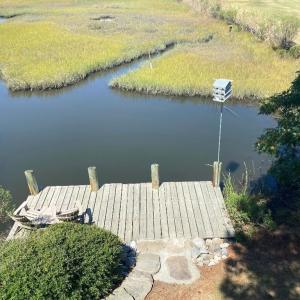 Photo #4 of 4443 SHADY LN, CHINCOTEAGUE, VA 1.5 acres