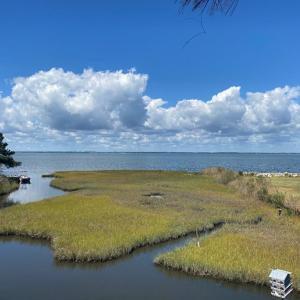 Photo #9 of 4443 SHADY LN, CHINCOTEAGUE, VA 1.5 acres