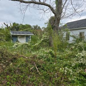 Photo #17 of 1502 BAYFRONT ST, GREENBACKVILLE, VA 0.5 acres