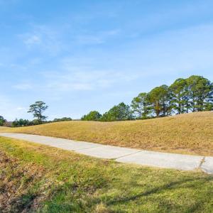 Photo #38 of 3126 CAPTAINS CORRIDOR, GREENBACKVILLE, VA 10.0 acres