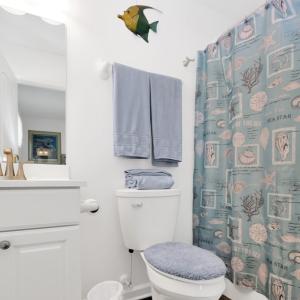 Photo #28 of 3281 STARBOARD ST, GREENBACKVILLE, VA 11.0 acres