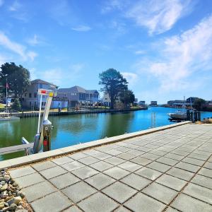 Photo #43 of 3281 STARBOARD ST, GREENBACKVILLE, VA 11.0 acres