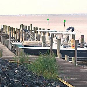 Photo #53 of 3281 STARBOARD ST, GREENBACKVILLE, VA 11.0 acres