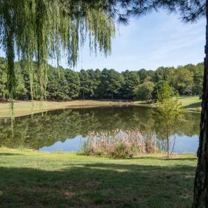 Photo #6 of 116 CHURCHILL DOWNS, CAPE CHARLES, VA 6,744.0 acres