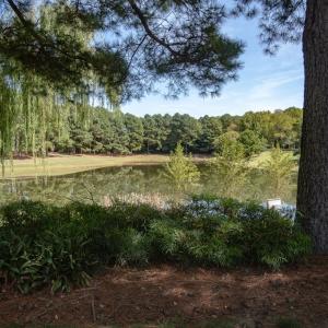 Photo #7 of 116 CHURCHILL DOWNS, CAPE CHARLES, VA 6,744.0 acres