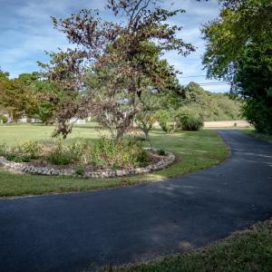 Photo #81 of 4564 CAPEVILLE DR, CAPEVILLE, VA 1.7 acres