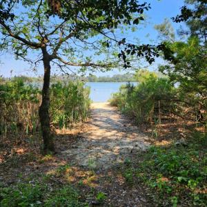 Kayak launch on Plantation Creek