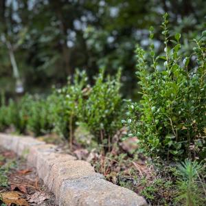 Photo #13 of 8 ENGLISH CT, CAPE CHARLES, VA 20,797.0 acres