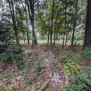 Photo #15 of 8 ENGLISH CT, CAPE CHARLES, VA 20,797.0 acres