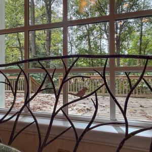 Photo #60 of 8 ENGLISH CT, CAPE CHARLES, VA 20,797.0 acres