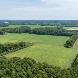 Farm/Woods
