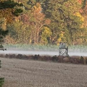 Deer Stand on the property