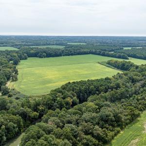 Photo #52 of 7261 HALLIDON DR, FRANKTOWN, VA 100.7 acres