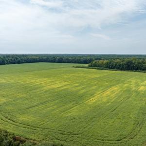 Photo #57 of 7261 HALLIDON DR, FRANKTOWN, VA 100.7 acres