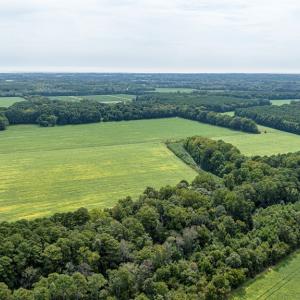 Farm/Woods