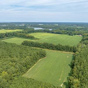 Farm/Woods