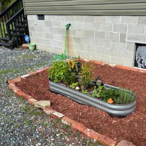 Photo #6 of 20188 ALLEN LN, ONANCOCK, VA 0.5 acres