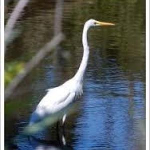 Photo #31 of 20188 ALLEN LN, ONANCOCK, VA 0.5 acres