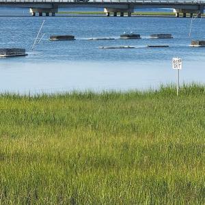 Photo #49 of 6141 MARSH ISLAND DR, CHINCOTEAGUE, VA 0.0 acres