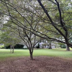 Photo #23 of 11379 SCARBOROUGHS NECK RD, BELLE HAVEN, VA 2.7 acres