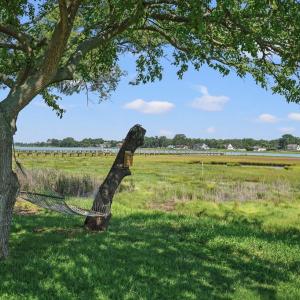Photo #49 of 6309 HIGHLAND PARK DR, CHINCOTEAGUE, VA 33.0 acres