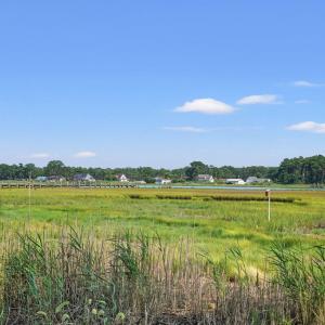 Photo #50 of 6309 HIGHLAND PARK DR, CHINCOTEAGUE, VA 33.0 acres